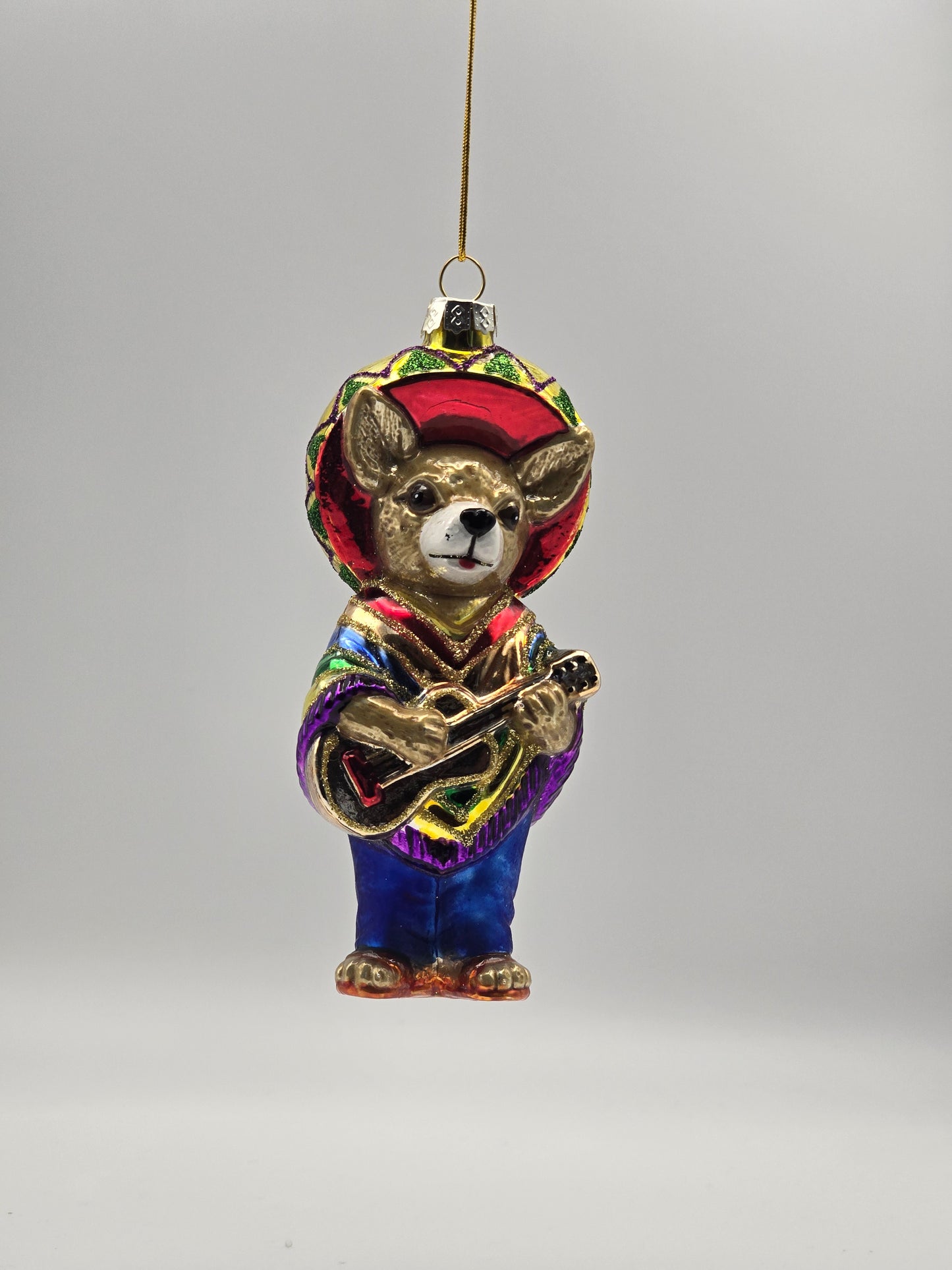 Mexikanischer Hund mit Sombrero und Gitarre (Xoloitzcuintle)