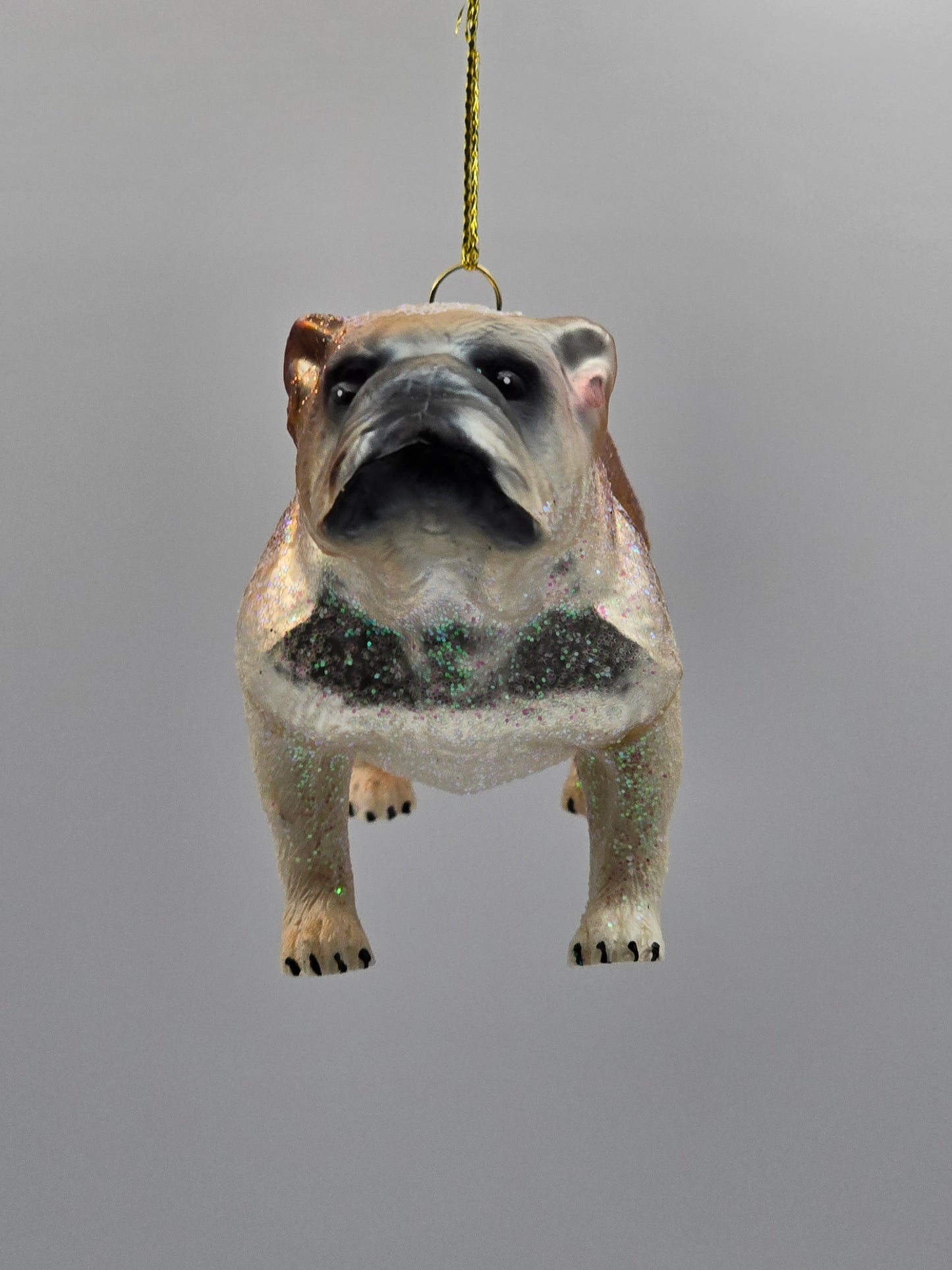 Bulldogge Glitzer