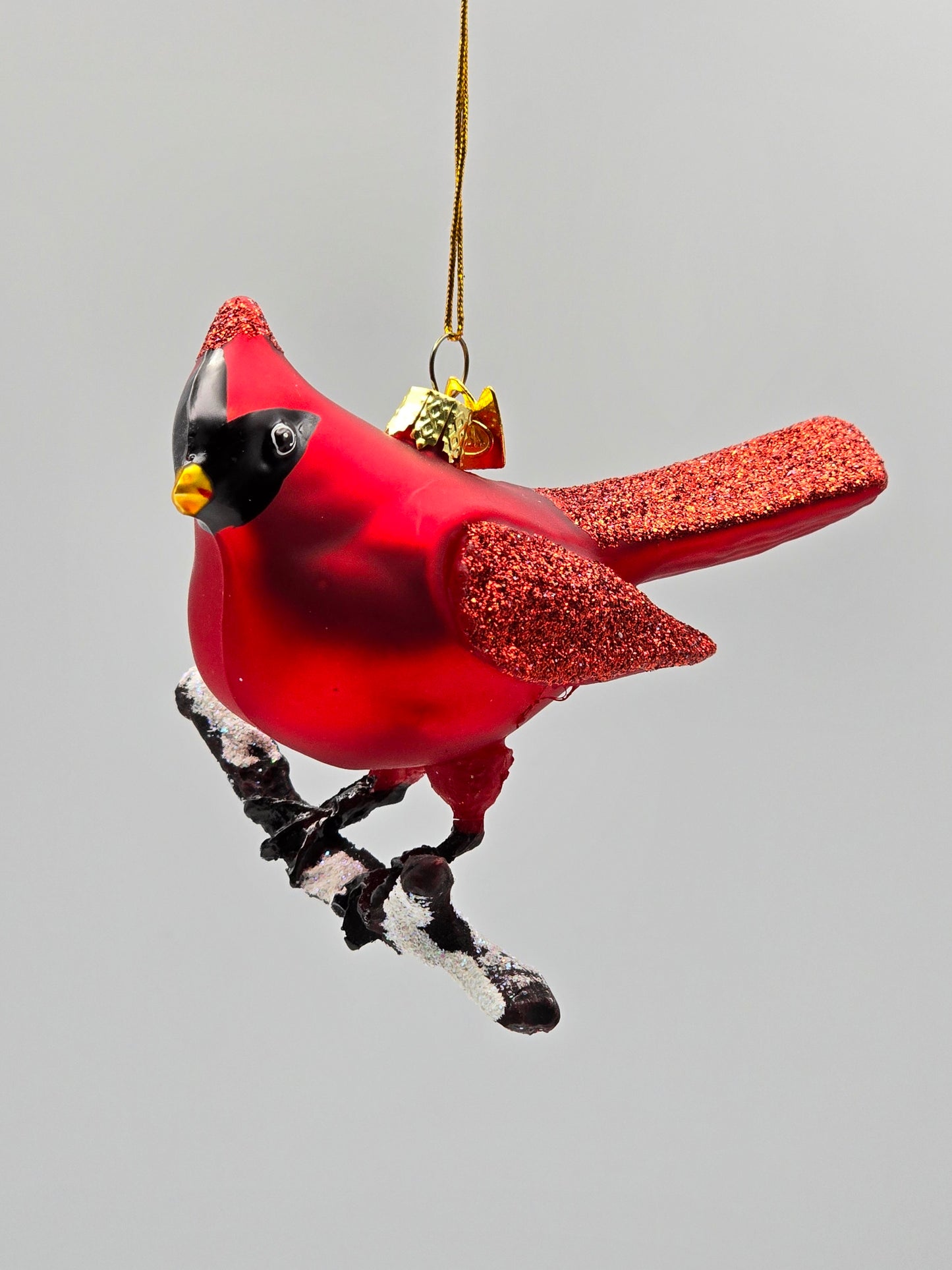 Roter Kardinal auf Ast