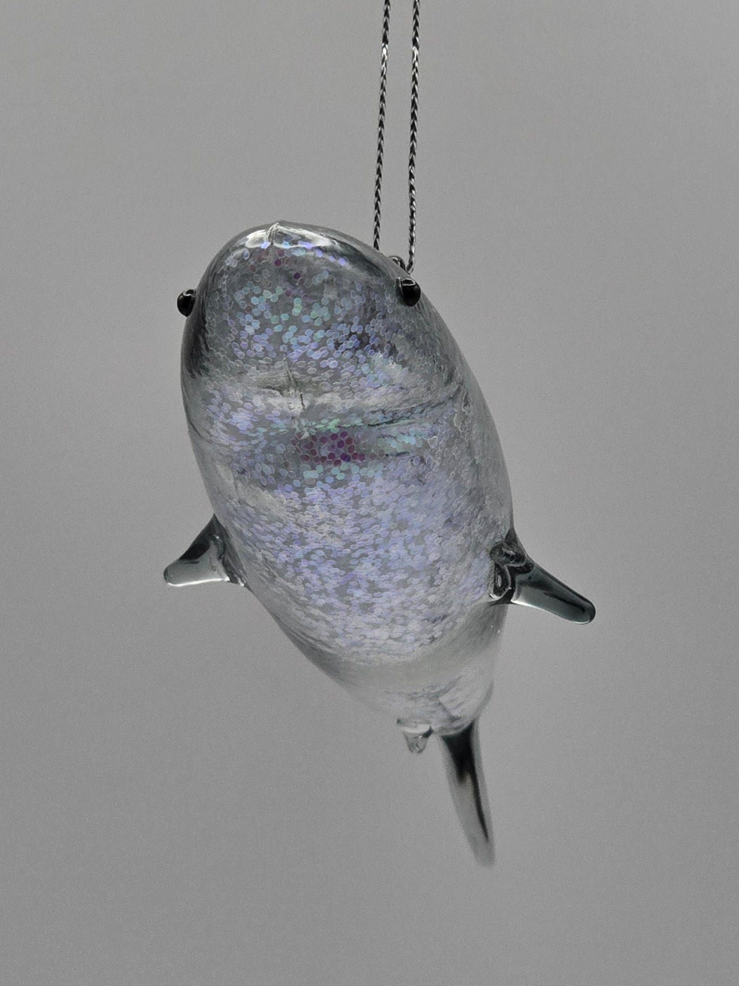 Hai Transparent blau