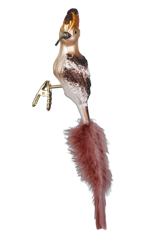 Wiedehopf Vogel