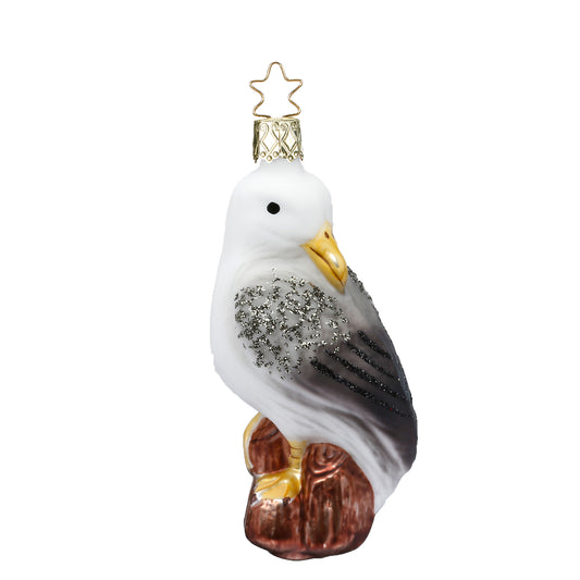 Möwe Maritim