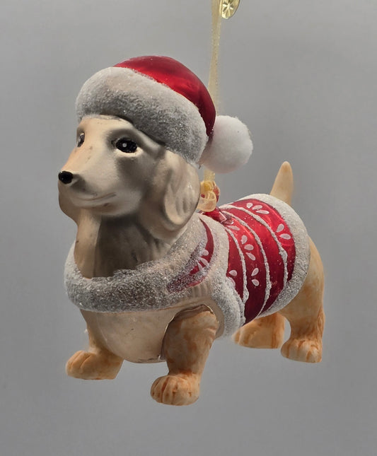 Dackel Dame mit rotem Pullover und Weihnachtsmann Mütze