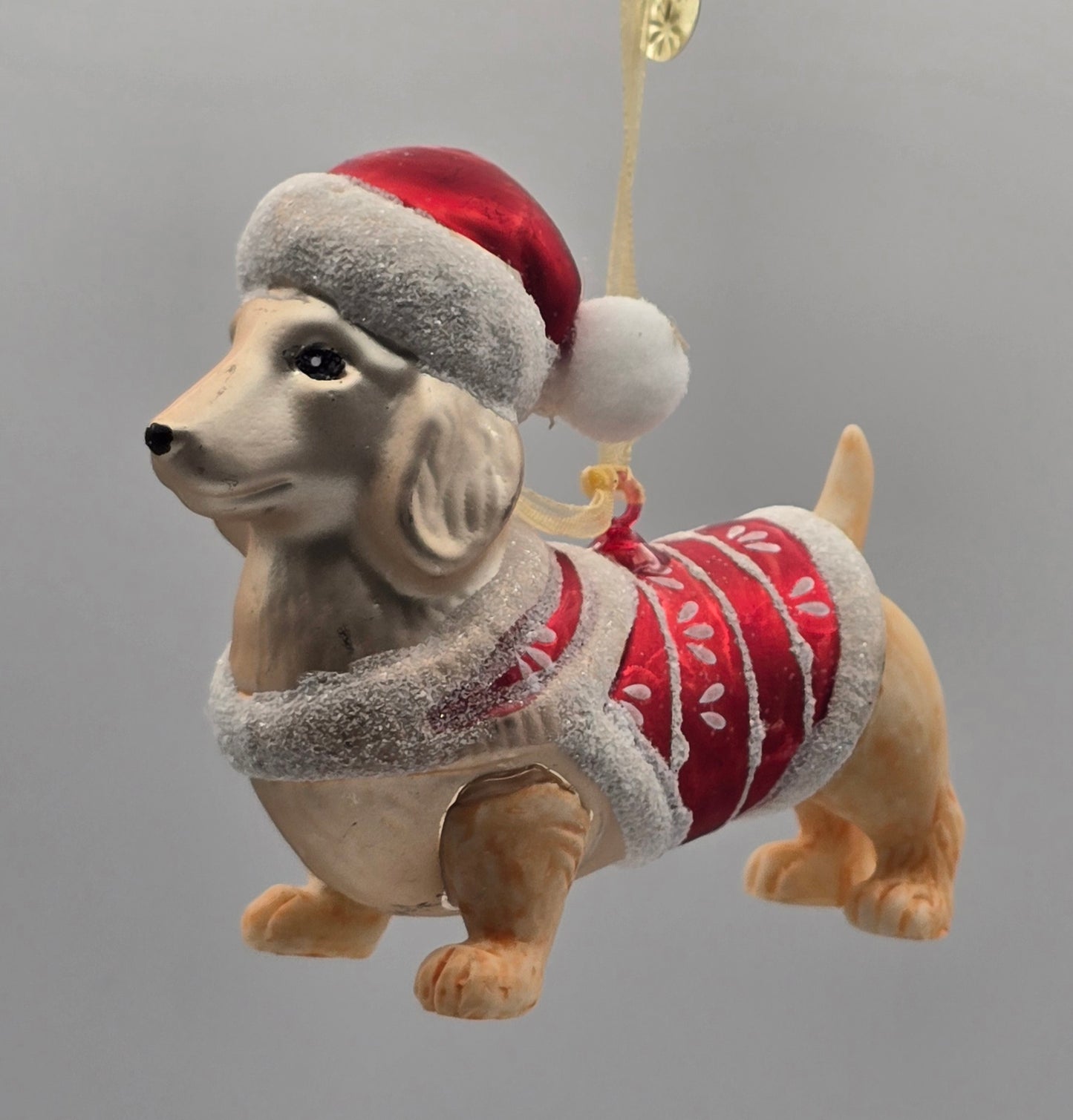 Dackel Dame mit rotem Pullover und Weihnachtsmann Mütze