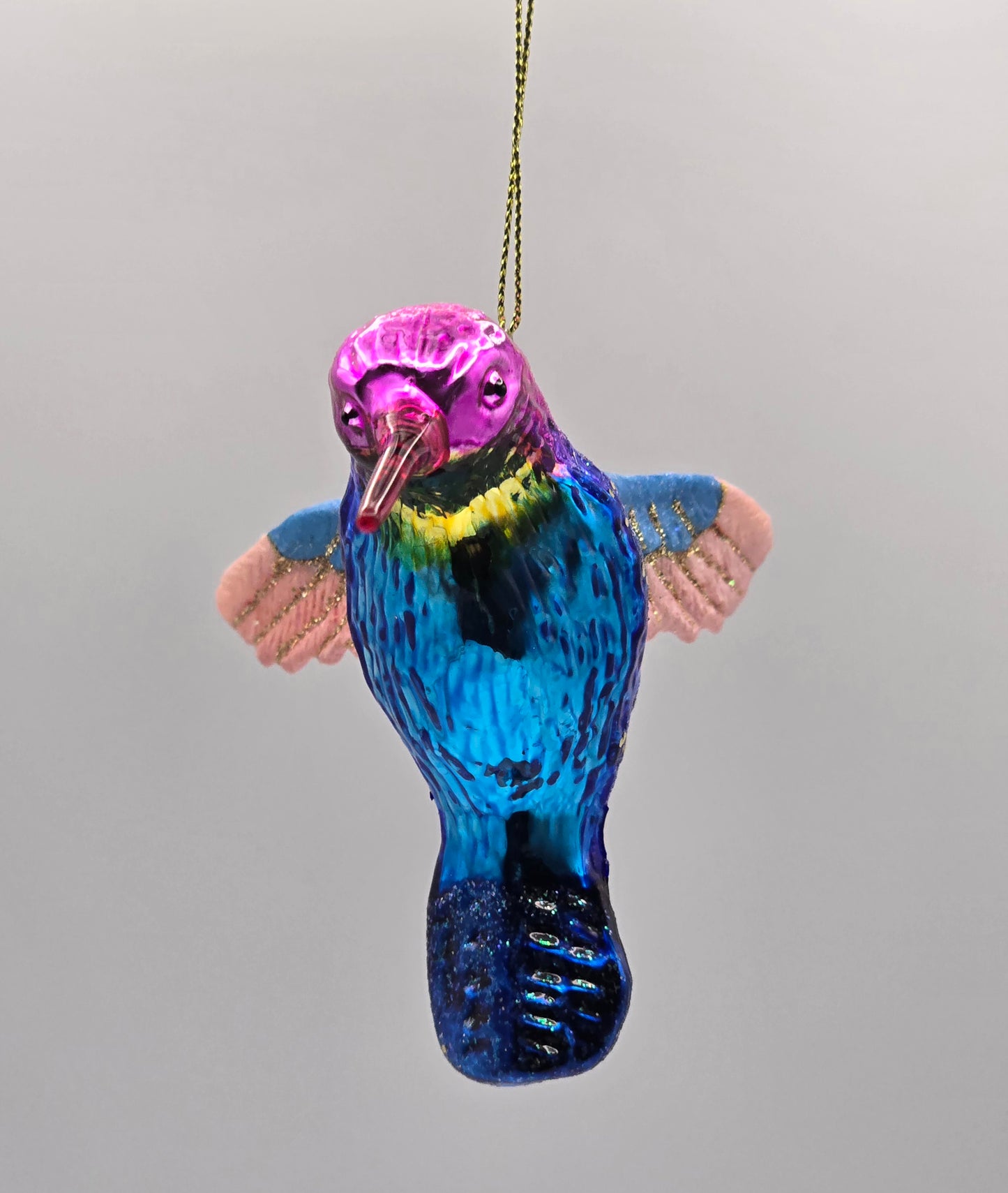 Kolibri bunt pink blau