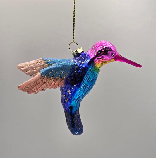 Kolibri bunt pink blau