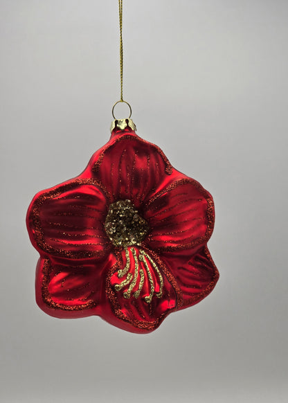 Ritterstern Rote Amaryllis Blume #26