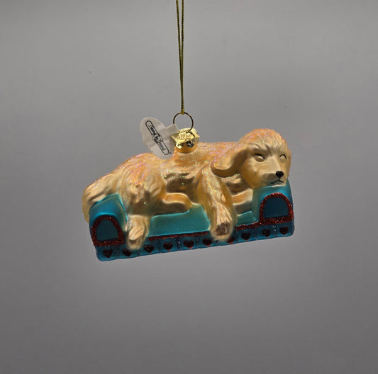 Golden Retriever Hund auf Sofa #28