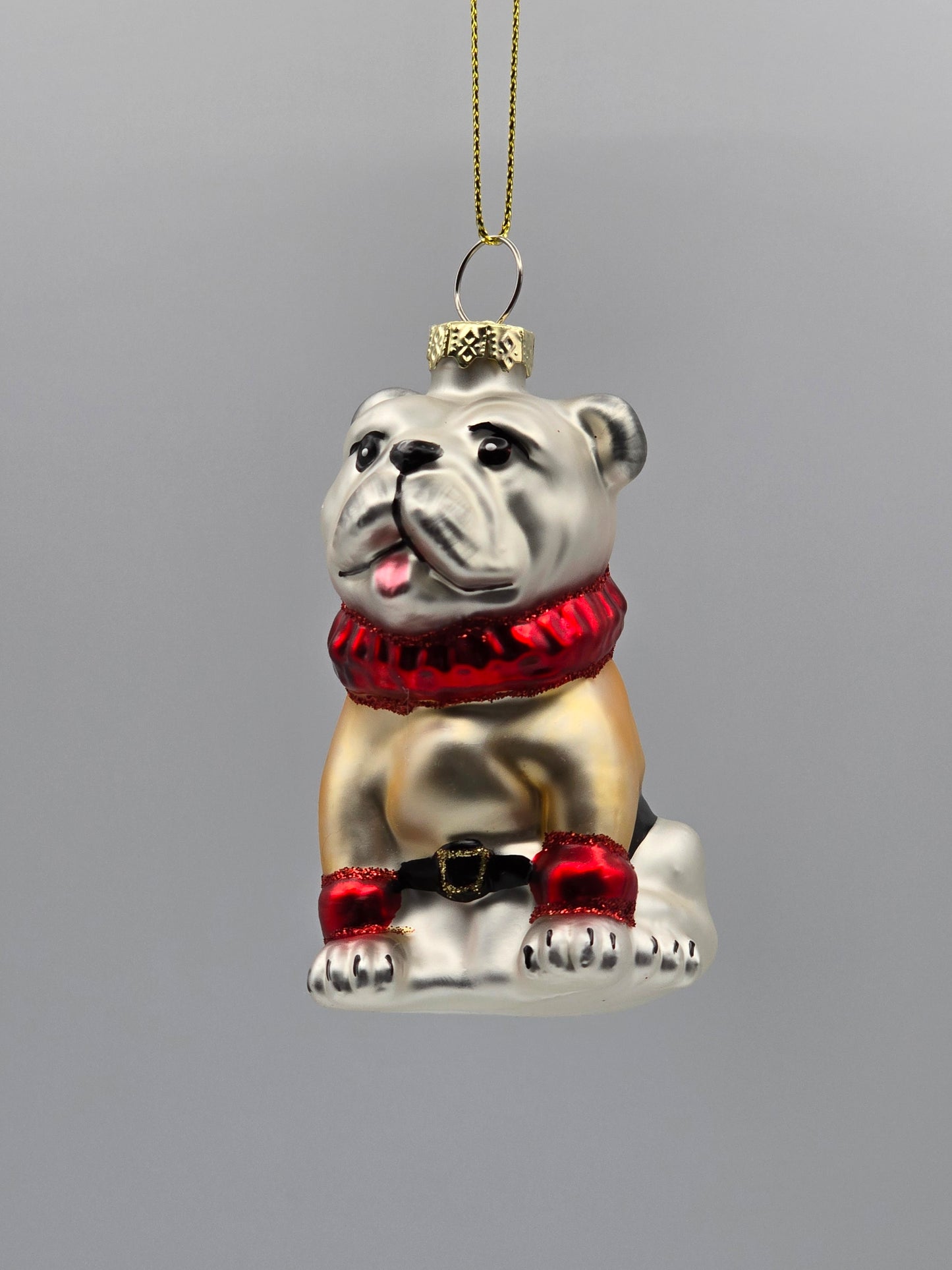 Bulldogge in Weihnachtskostüm